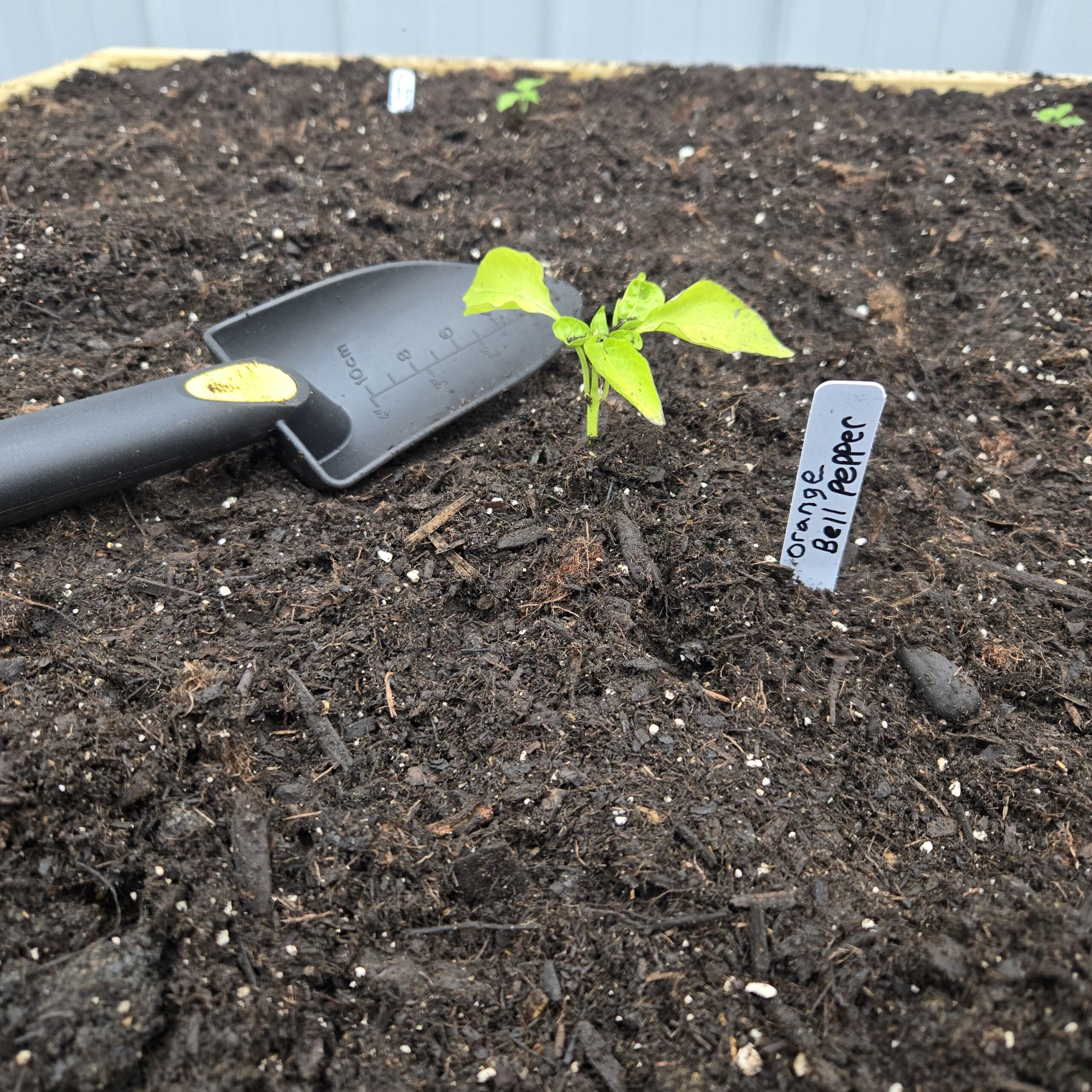 Photo of America’s Best Childcare, image 2