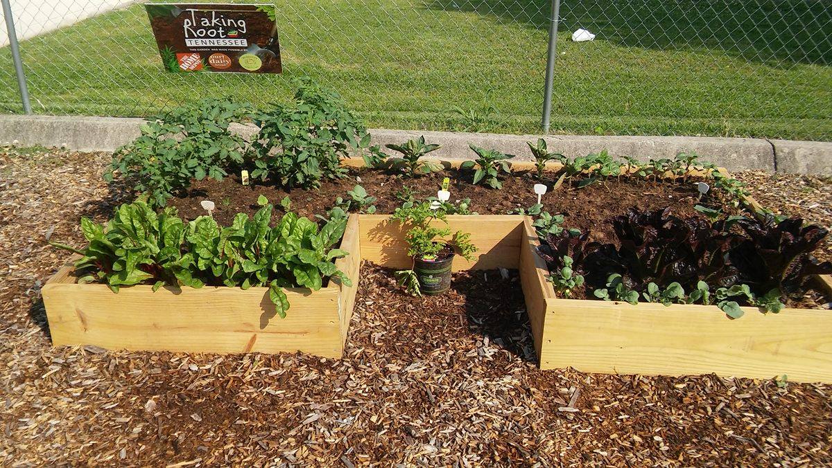 Photo of Tate’s Totz N Teenz Child Development, image 3