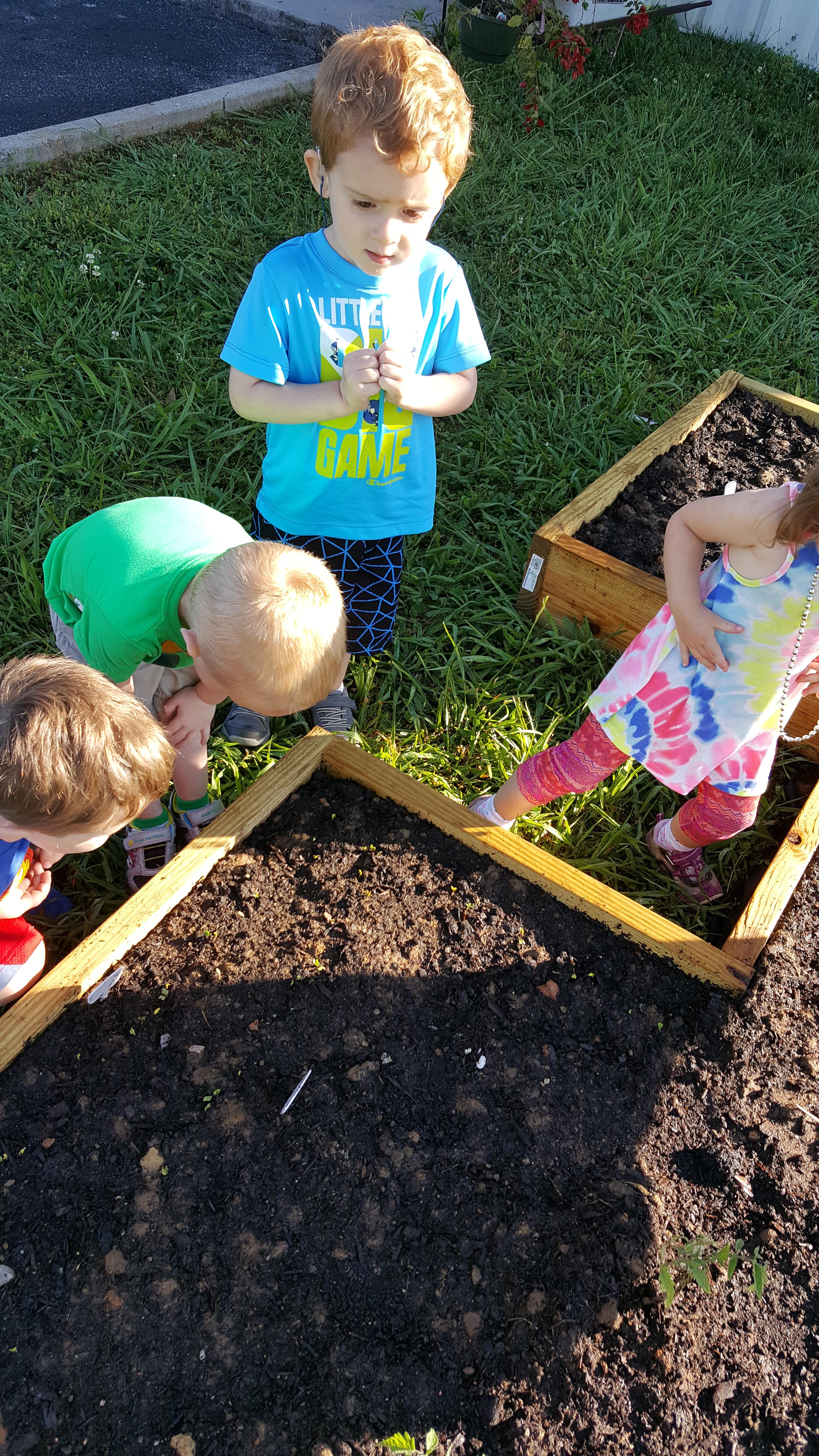 Photo of Berry Patch Kids, image 15