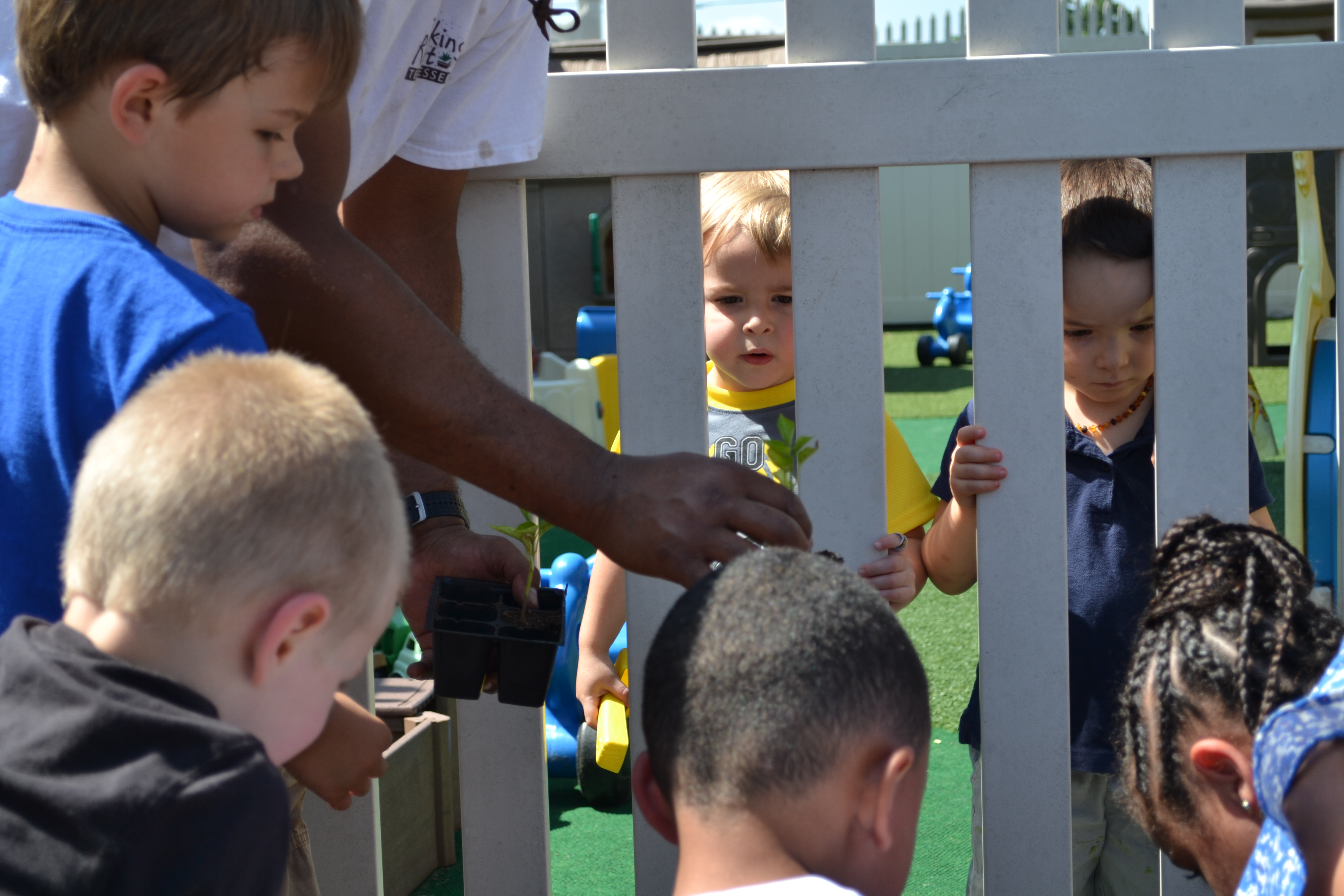Photo of Little Heroes Academy, image 34