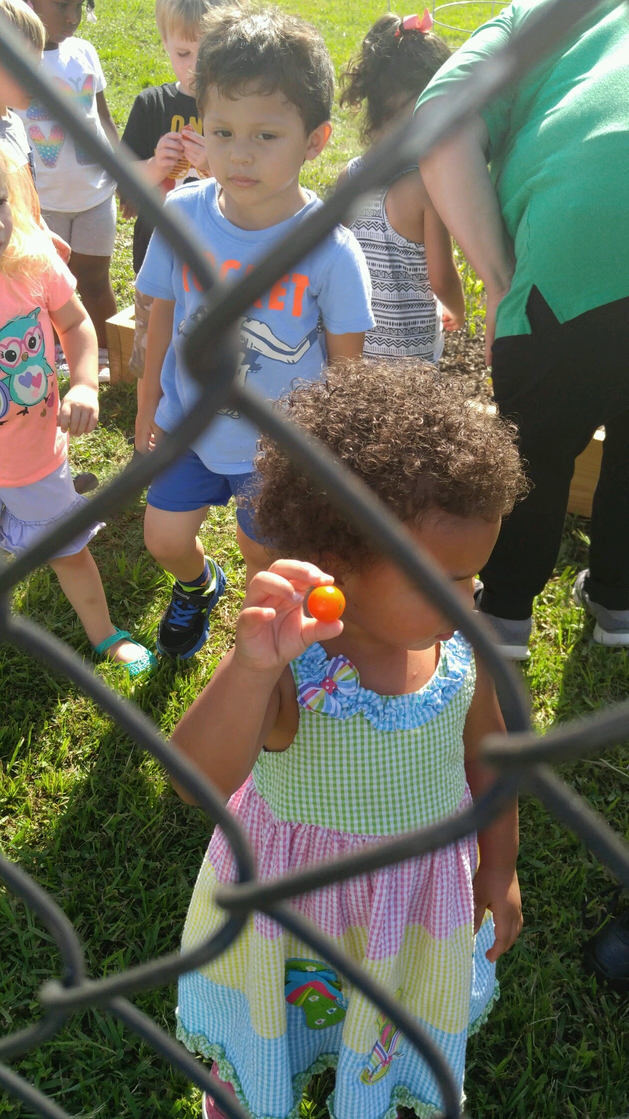 Photo of Big Blue Marble Academy-Murfreesboro, image 42