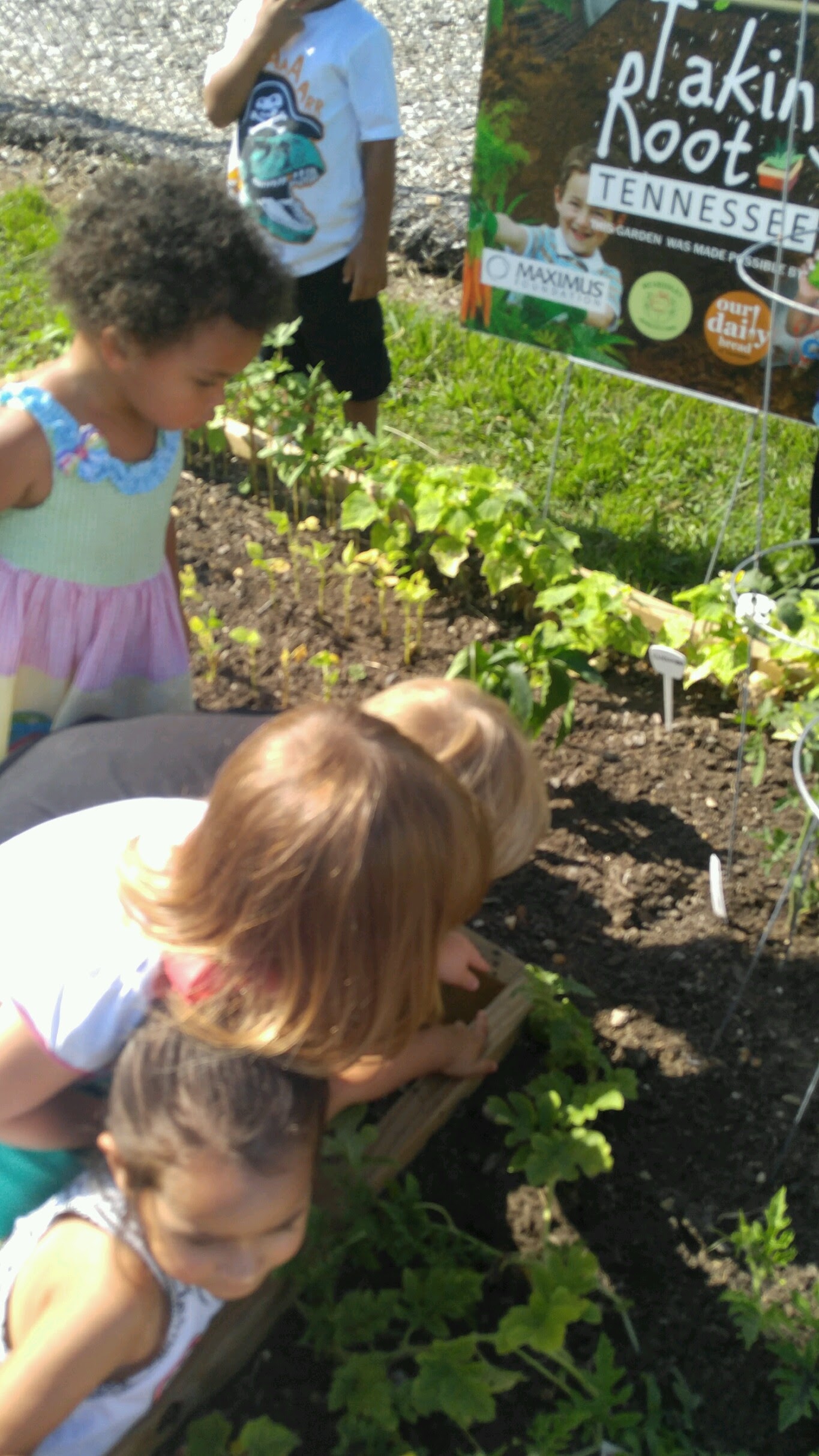 Photo of Big Blue Marble Academy-Murfreesboro, image 43