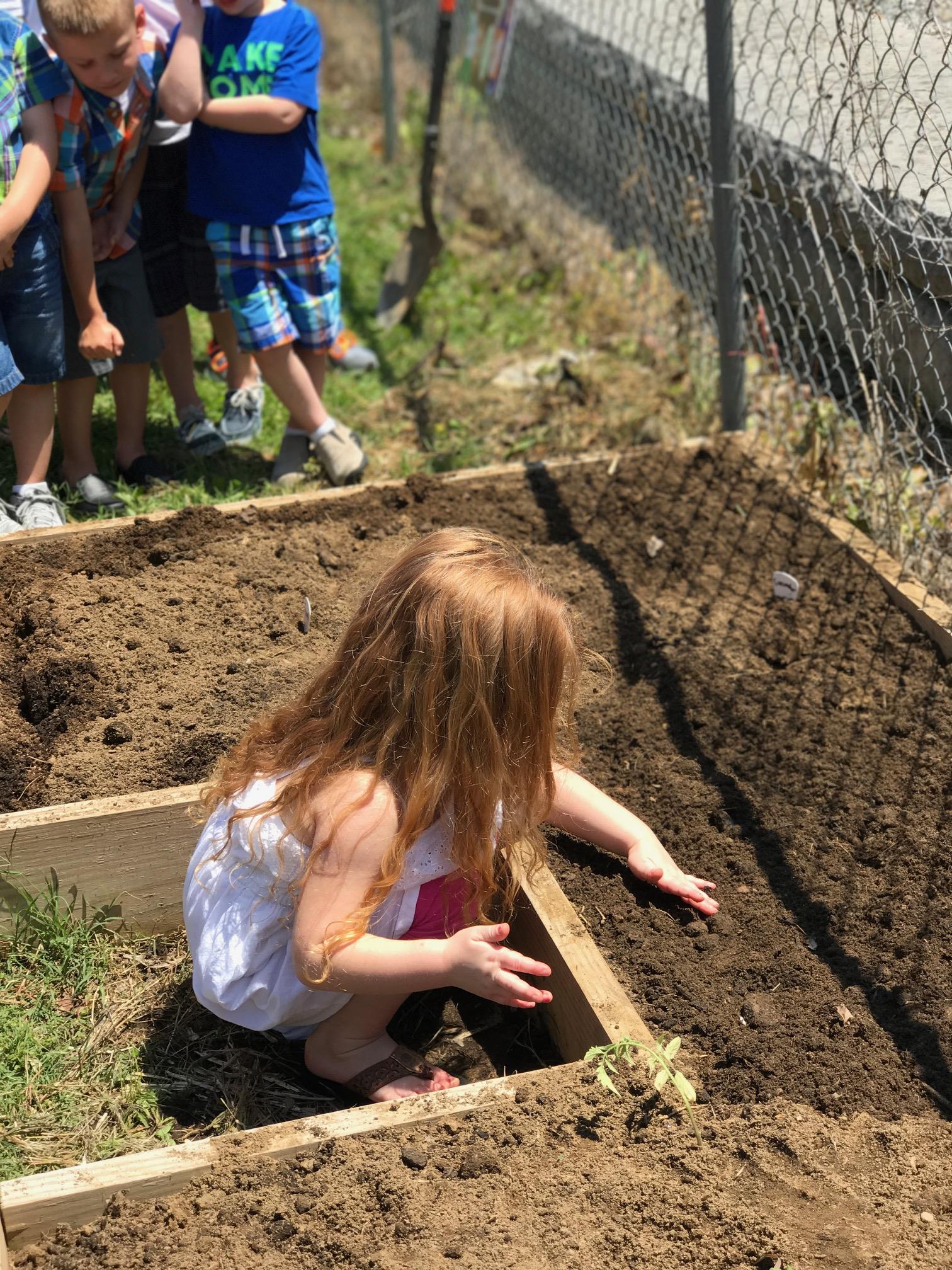 Photo of Hill Top Child Development, image 21