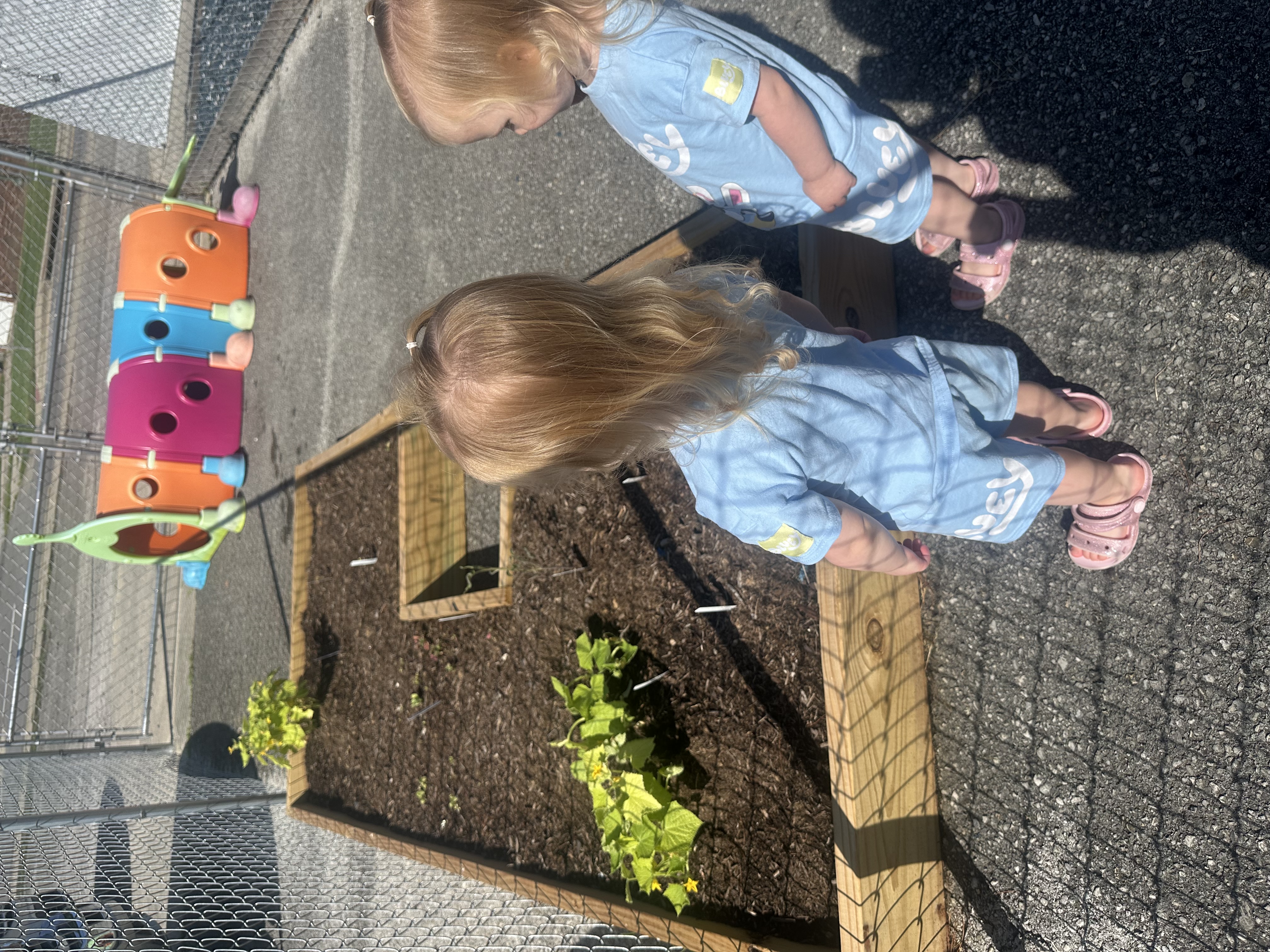 Photo of Perpetual Motion Preschool, image 2