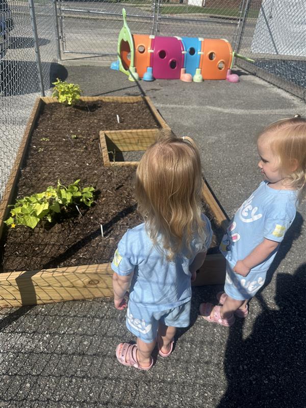 Photo of Perpetual Motion Preschool, image 3