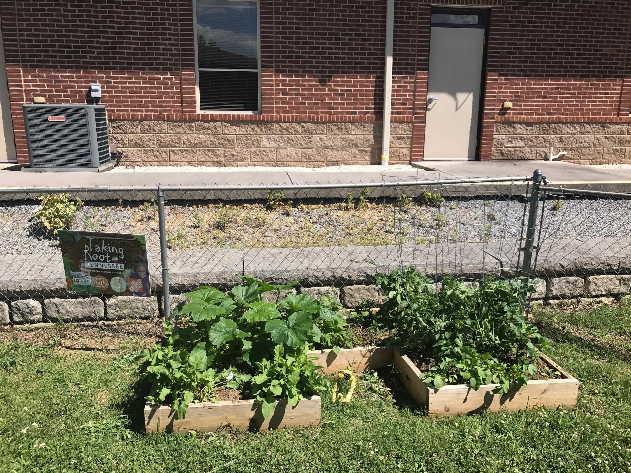 Photo of Hill Top Child Development, image 23