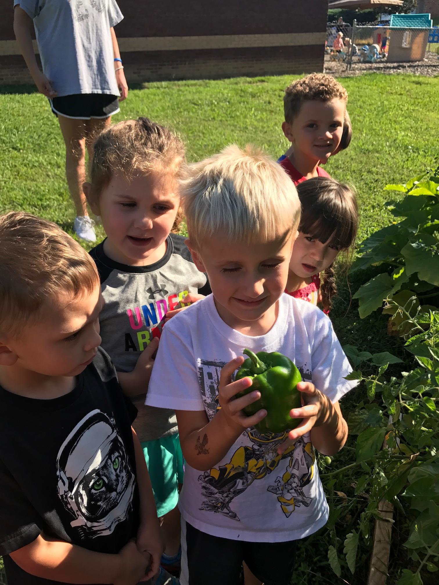Photo of Hill Top Child Development, image 24