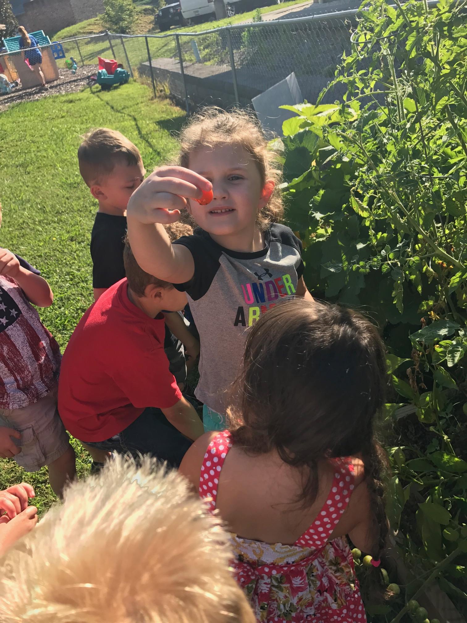 Photo of Hill Top Child Development, image 26