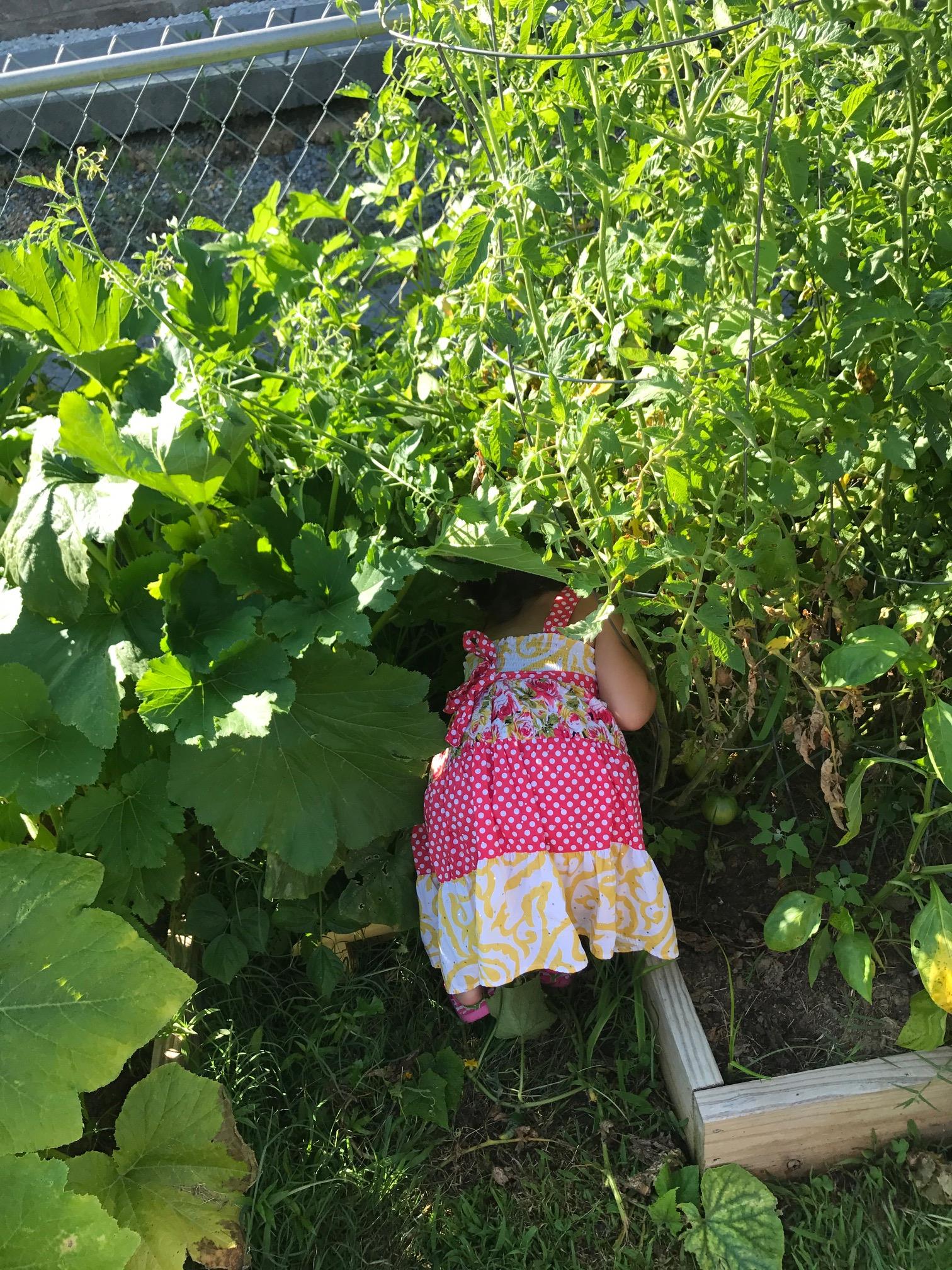 Photo of Hill Top Child Development, image 34