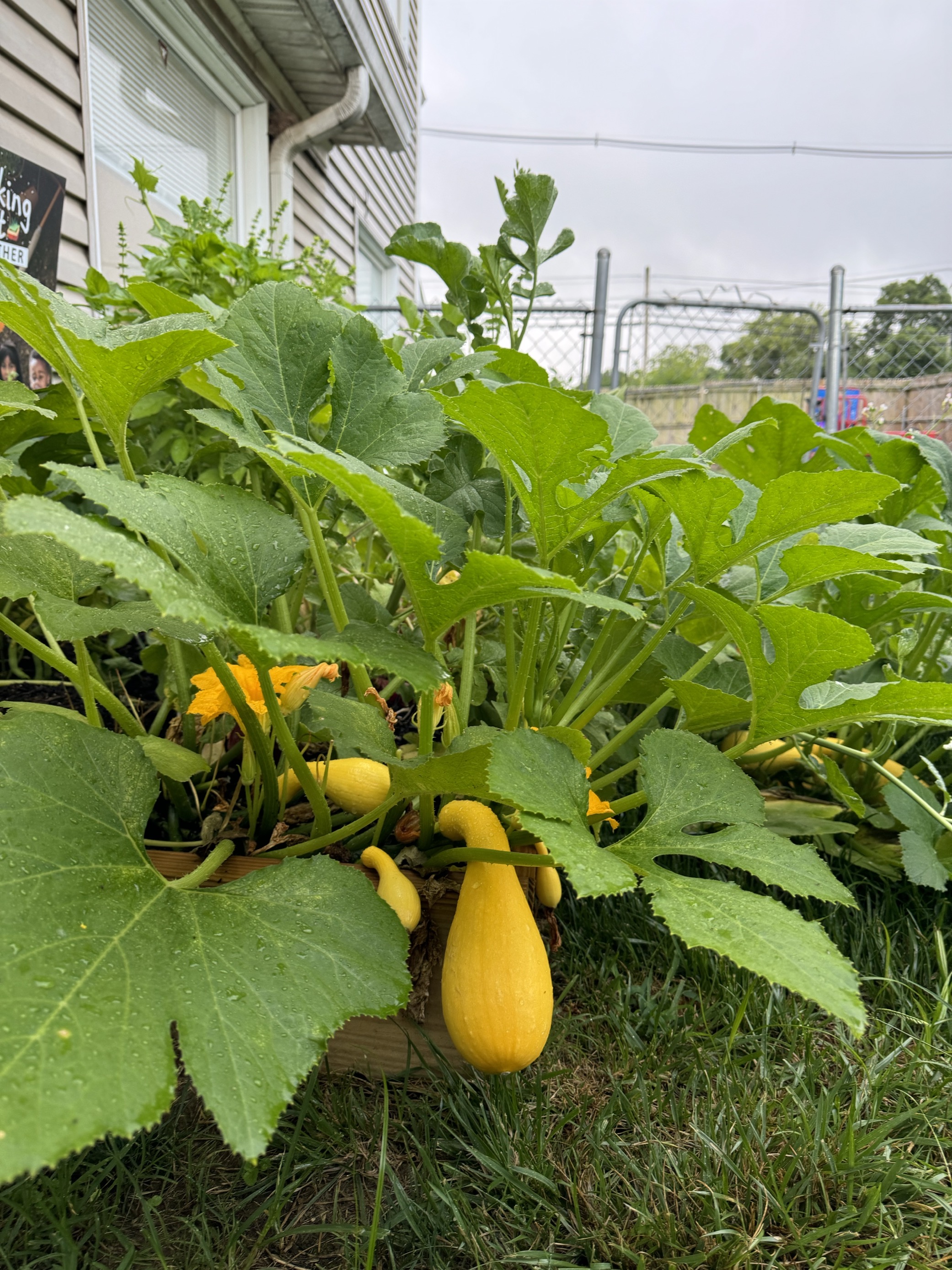Photo of Gingerbread House Child Care Center, image 4