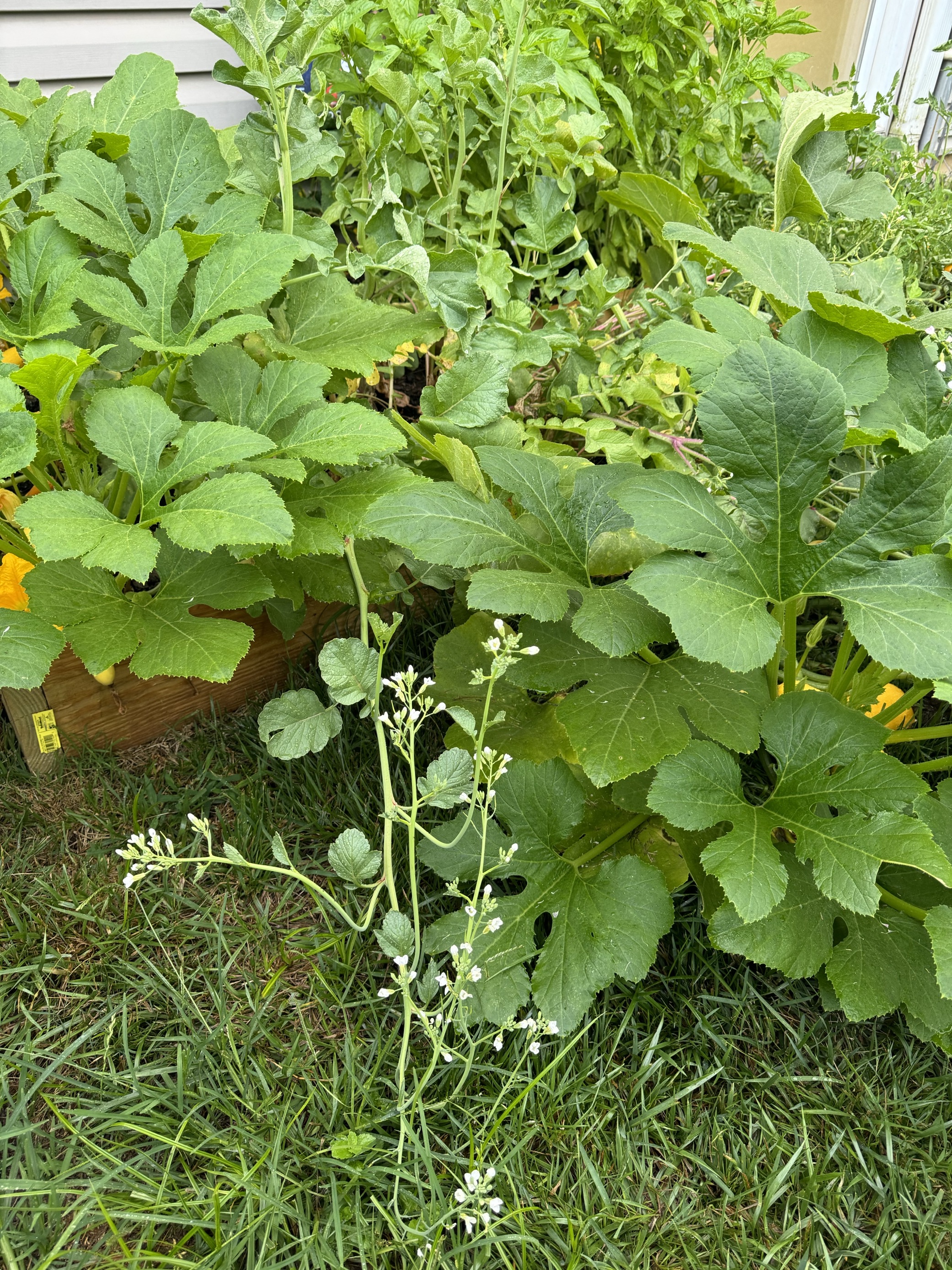Photo of Gingerbread House Child Care Center, image 6