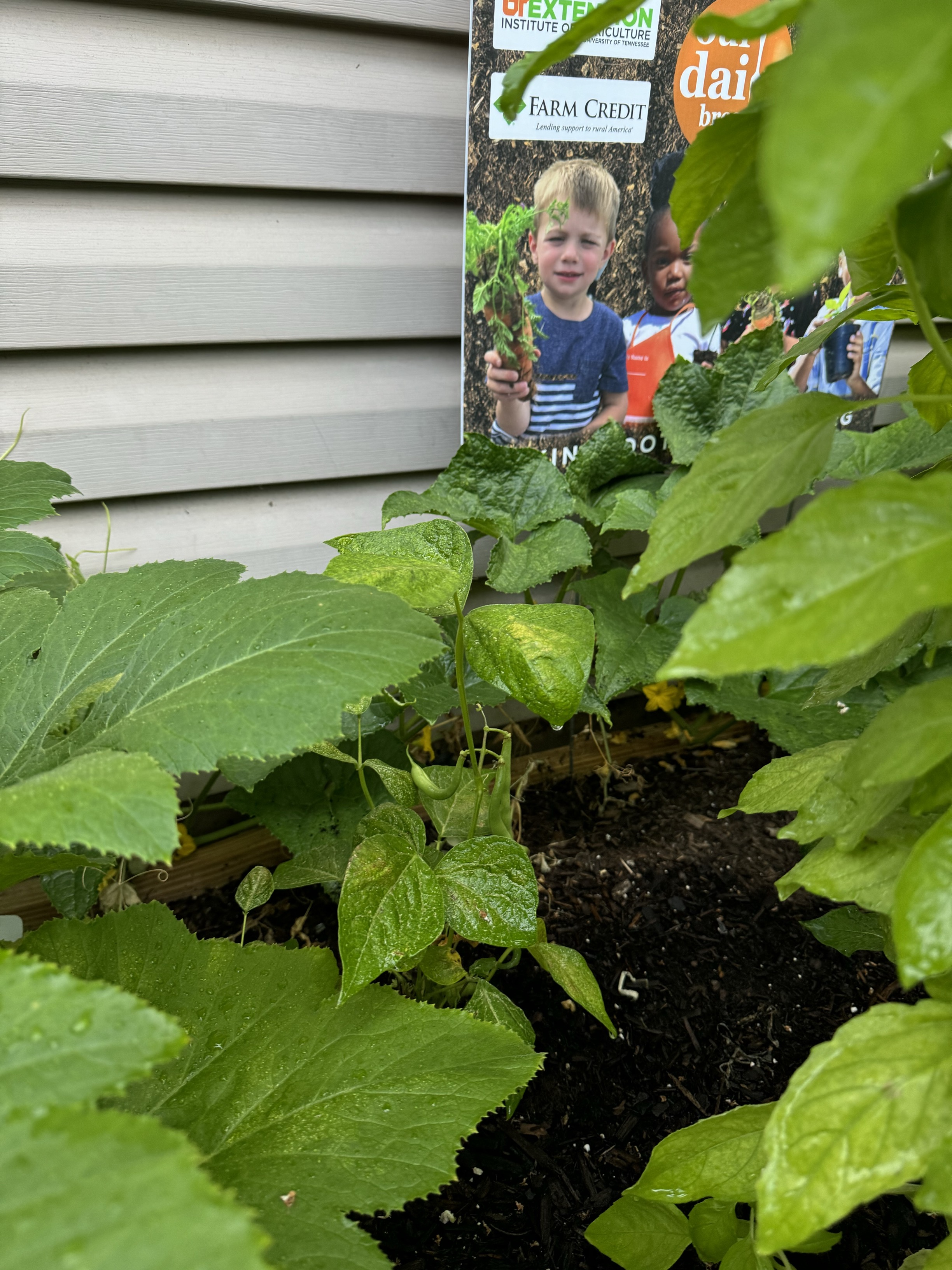 Photo of Gingerbread House Child Care Center, image 7