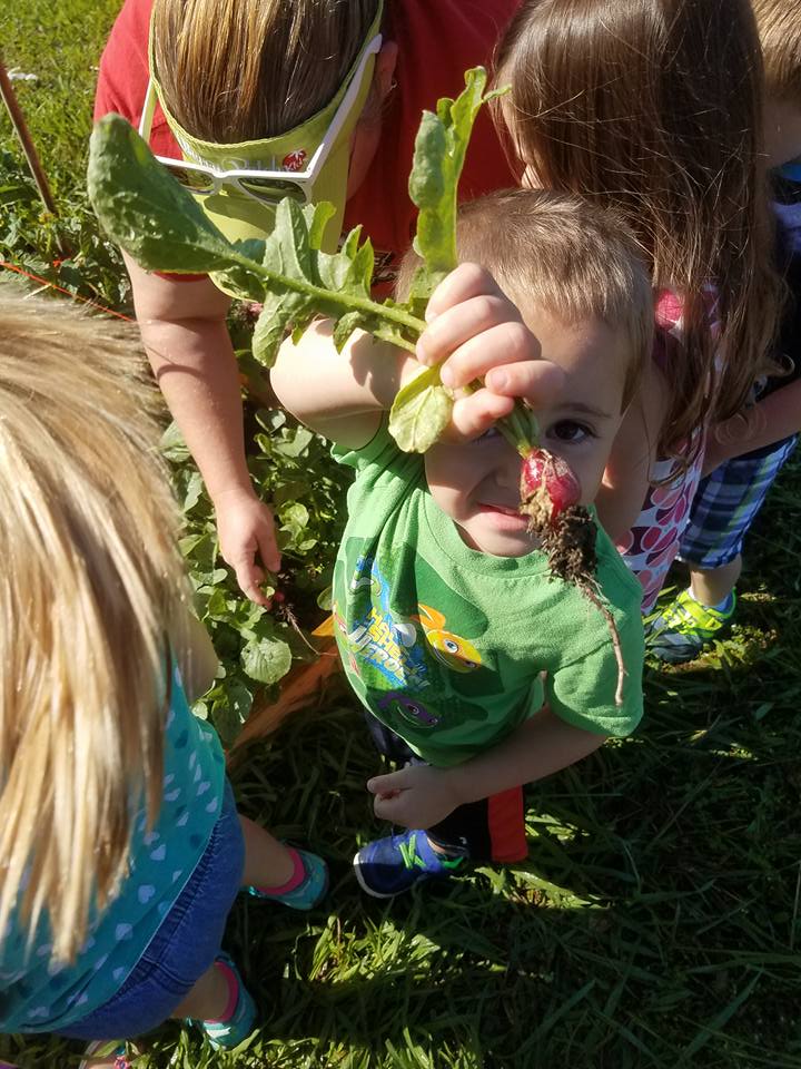Photo of Berry Patch Kids, image 26